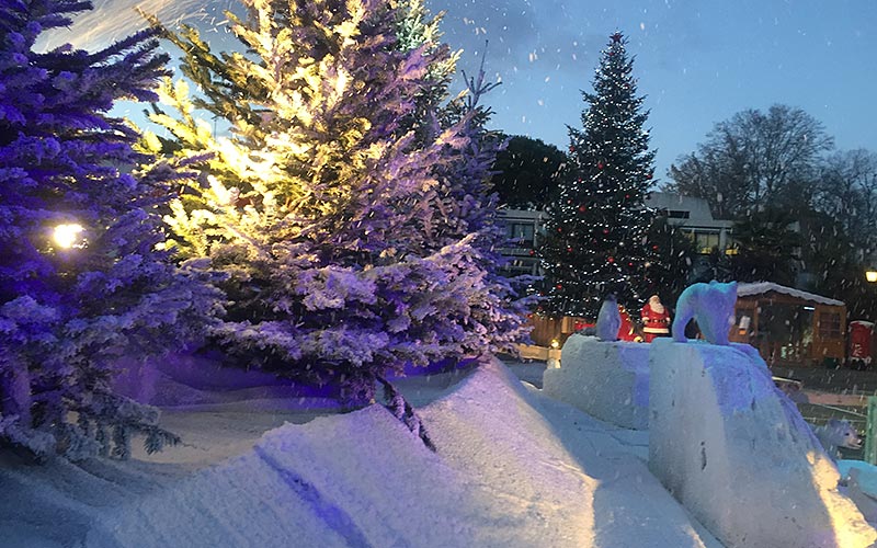 FLOCAGE NEIGE FORET MAGIQUE - EVENIUMS CONCEPT