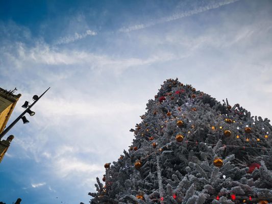 Neige Artificielle - EVENIUMS CONCEPT