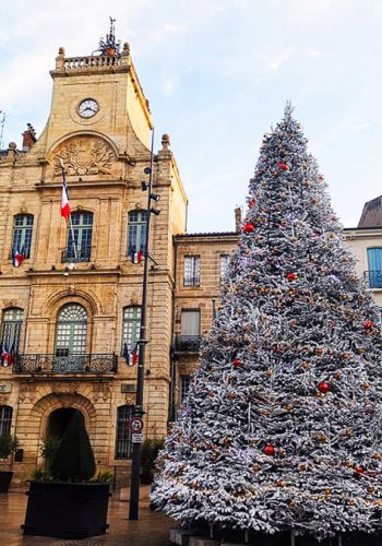 FLOCAGE NEIGE - EVENIUMS CONCEPT