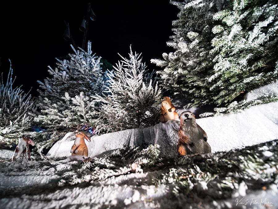 FORET MAGIQUE - EVENIUMS CONCEPT