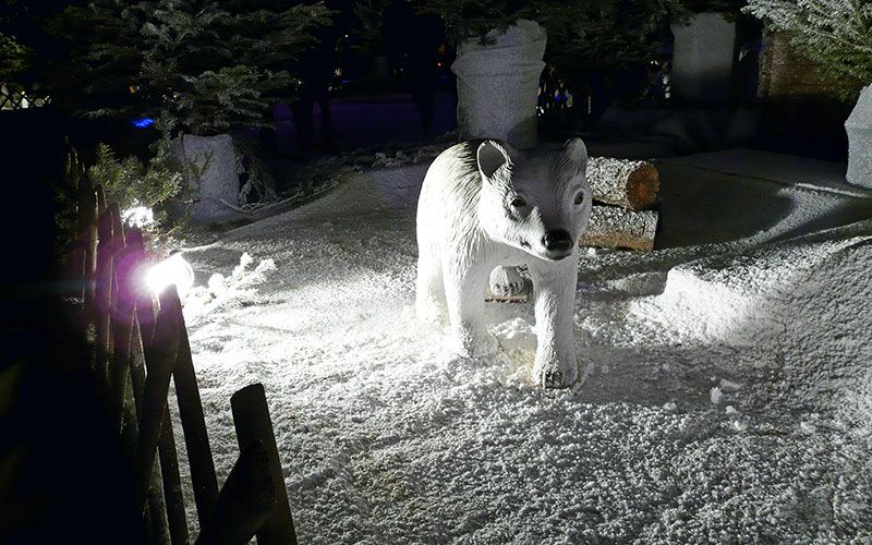 FLOCAGE NEIGE FORET MAGIQUE - ANIMAUX - EVENIUMS CONCEPT 